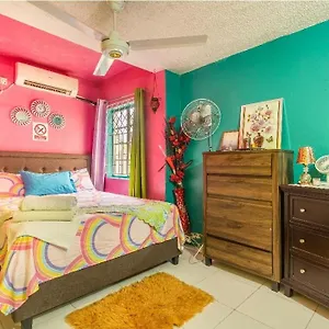 Colorful Private Oasis Homestay