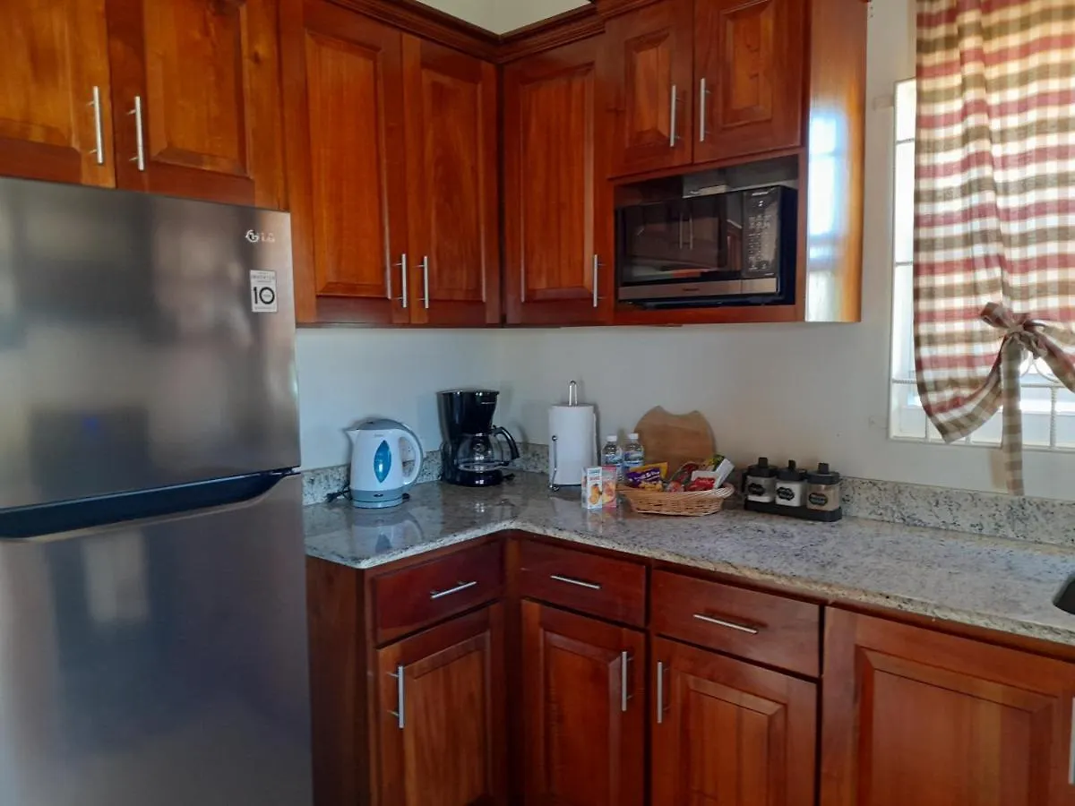 Ultimate Chill Montego Bay Apartment