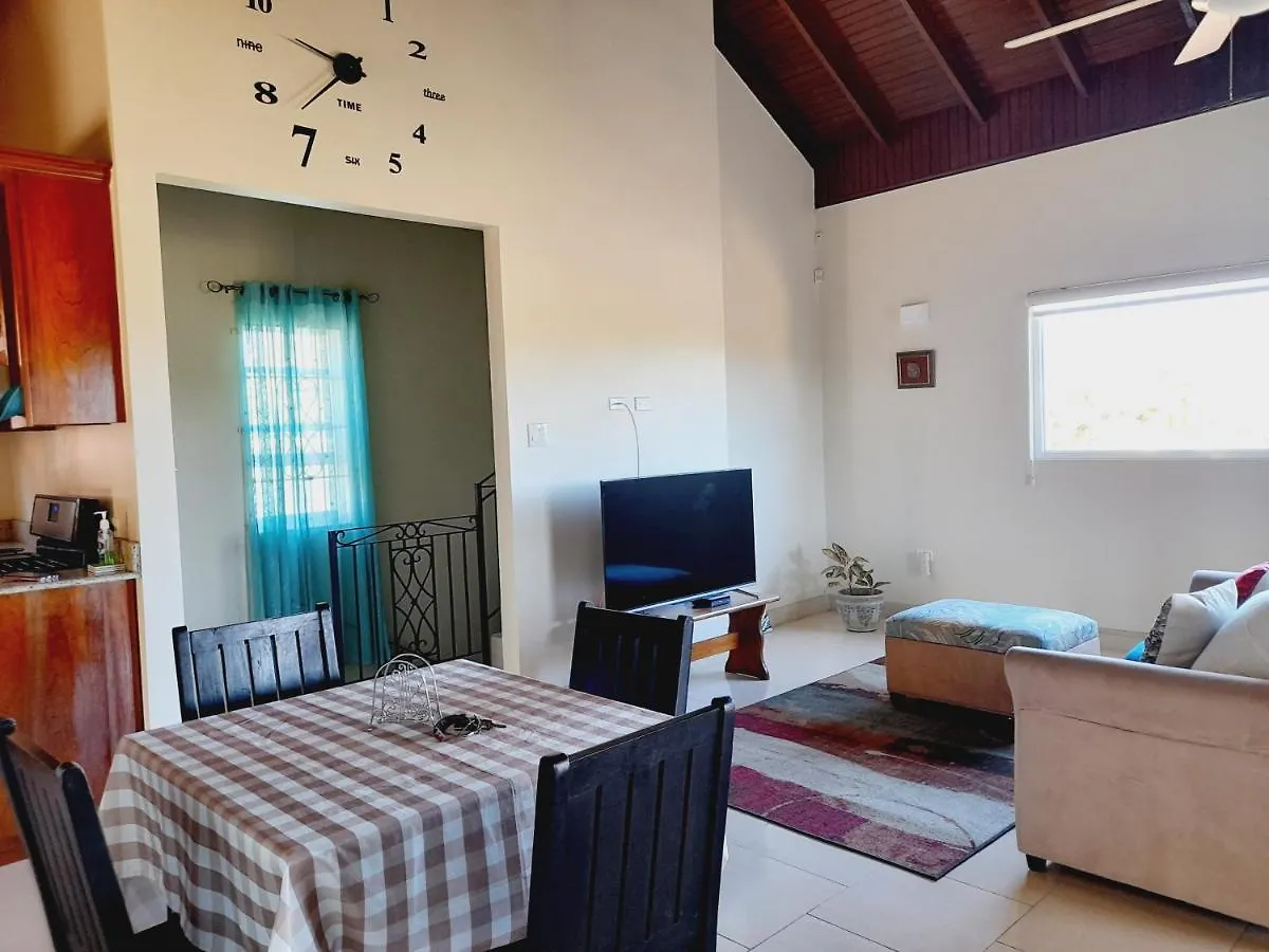 Ultimate Chill Montego Bay Apartment